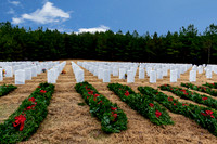 614A2460-Edit_pe